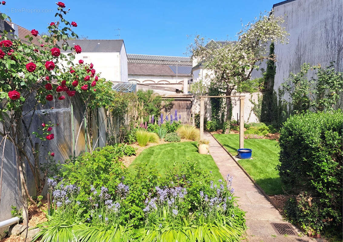 Maison à TOURS