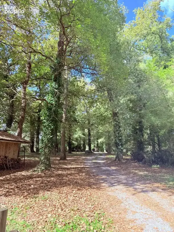 Environnement exceptionnel pour cette girolle rénovée de 148m² - photo 17