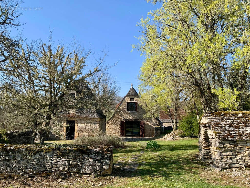 Propriété en pierre - 2 maisons indépendantes, piscine, dépendances, terrain de près d'1 Hectare - Catus - photo 10