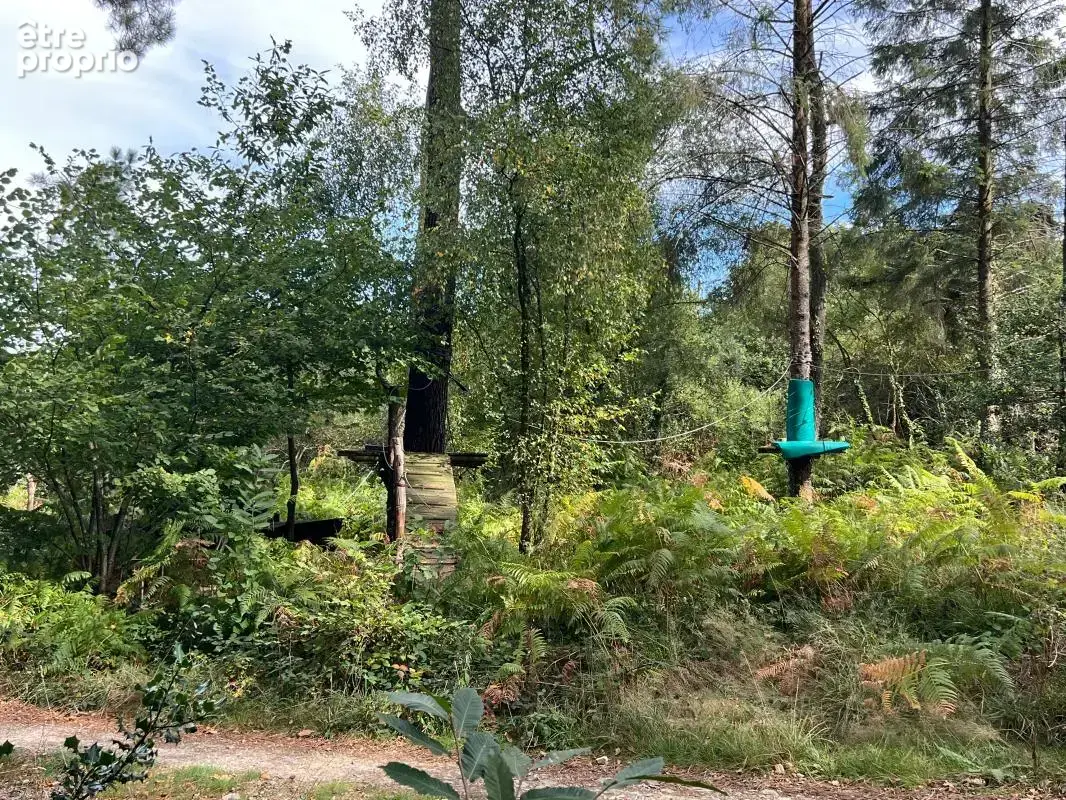 À vendre – argol – finistère – presqu’île de crozon-exceptionnel terrain de loisirs de 40 000 m² - photo 42