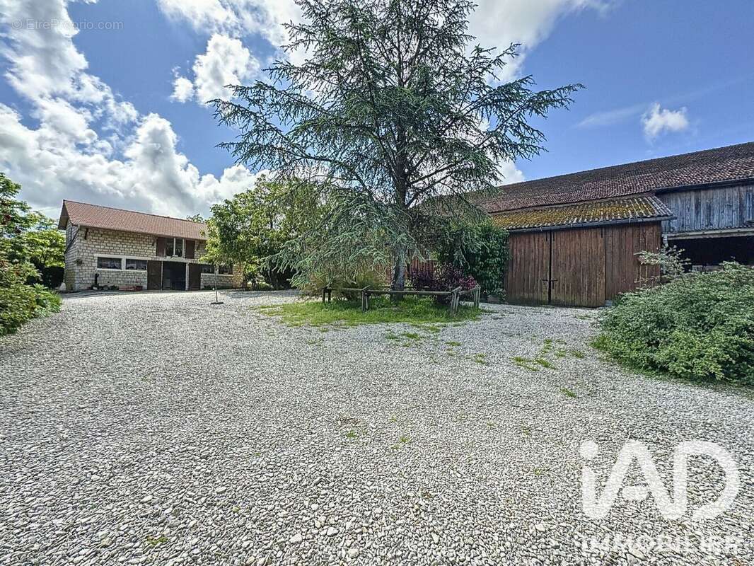 Commerce 800 m² à Villers-En-Argonne  - photo 4