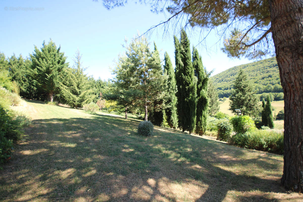 Belle propriété - photo 4