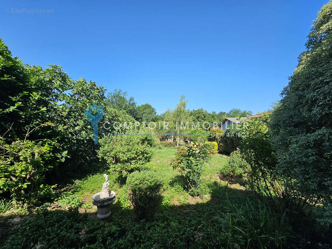 Dpt Haute-Garonne 31 A vendre 31260 Cassagne Maison T4 de 140 m2 avec grange sur parcelle de 1462 m2 - photo 3