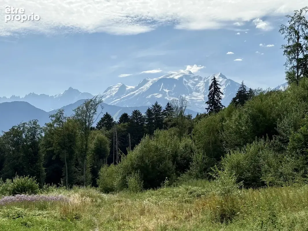 Terrain constructible de 9210 m² à Combloux - photo 3