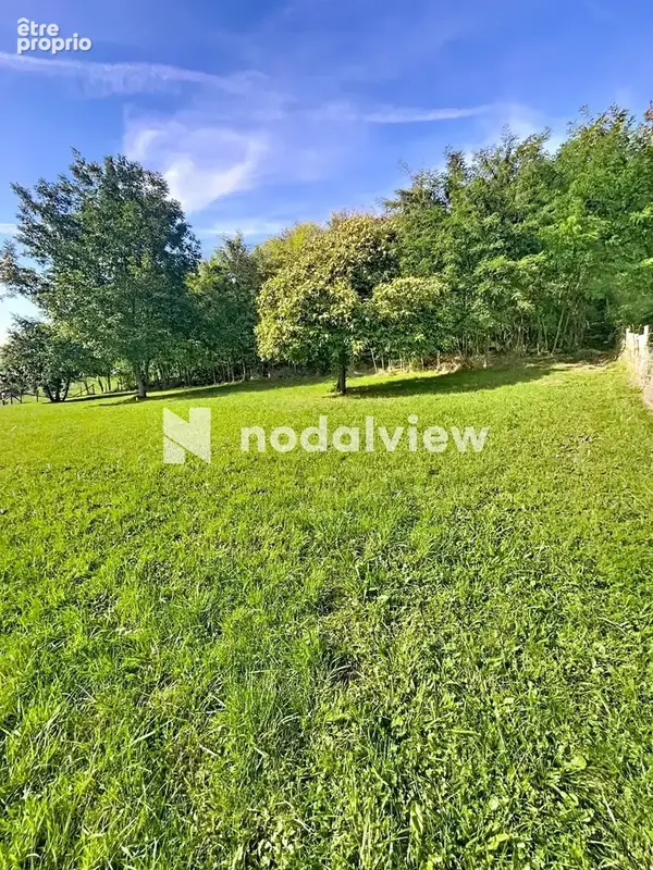 Terrain 2253m2 - photo 3