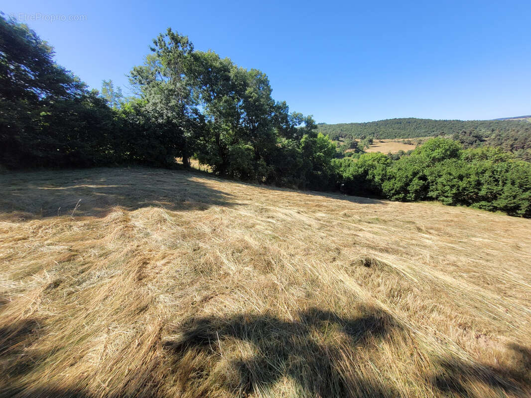 Terrain à PIERREFICHE