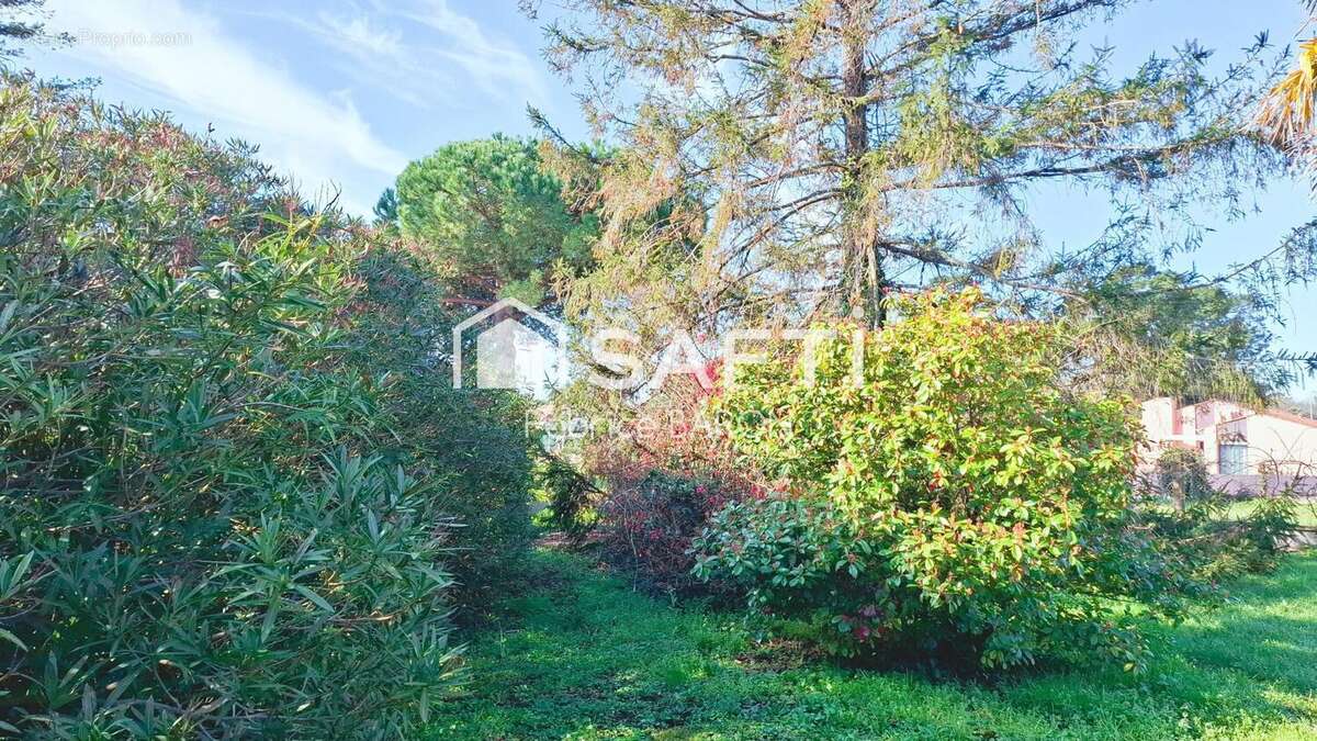 Photo 8 - Maison à LES MATHES