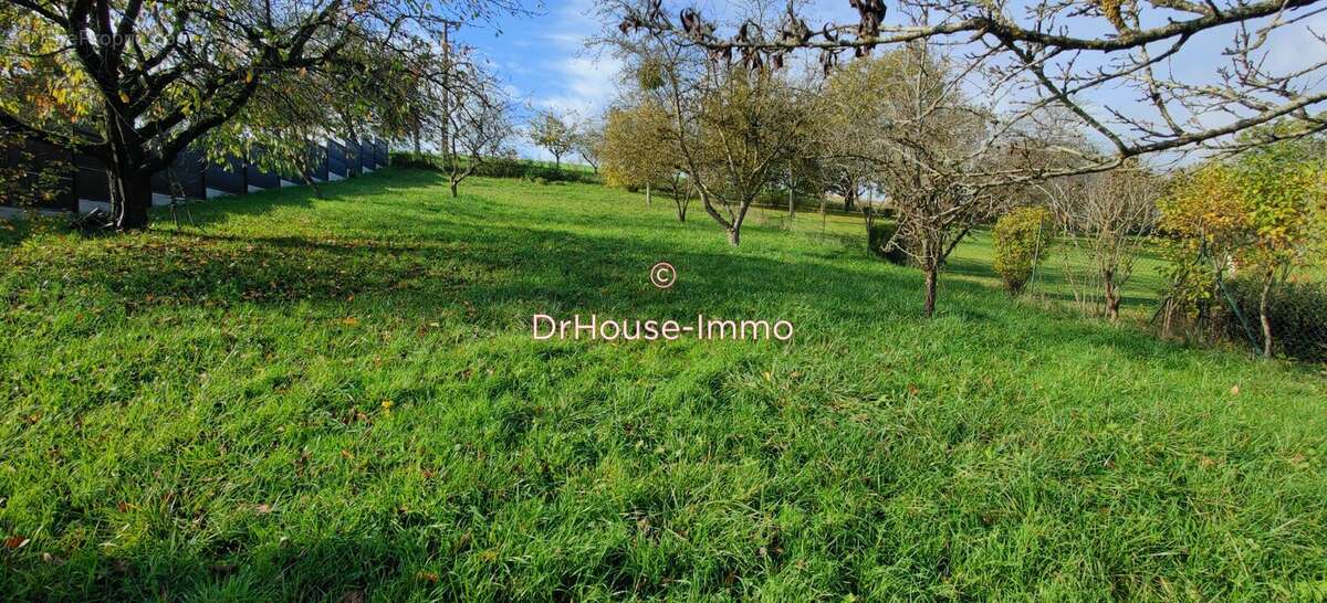 Terrain à PIERREVILLE