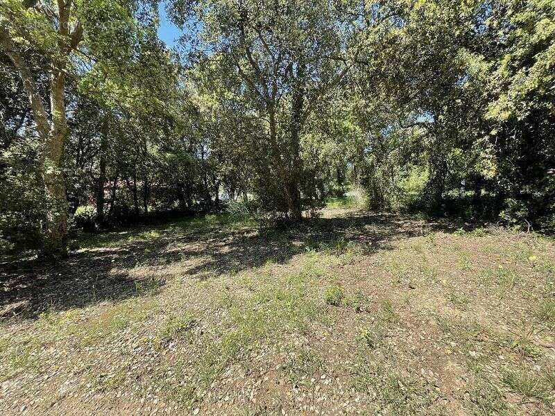 Terrain à LES CLUSES