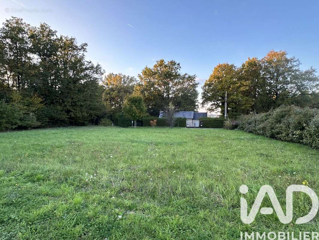 Photo 3 - Terrain à CHAUMONT-SUR-LOIRE