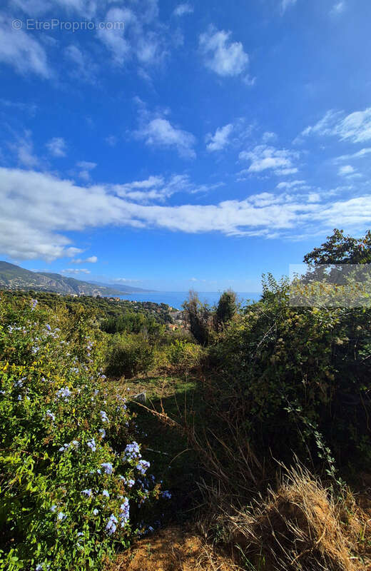 Maison à ROQUEBRUNE-CAP-MARTIN