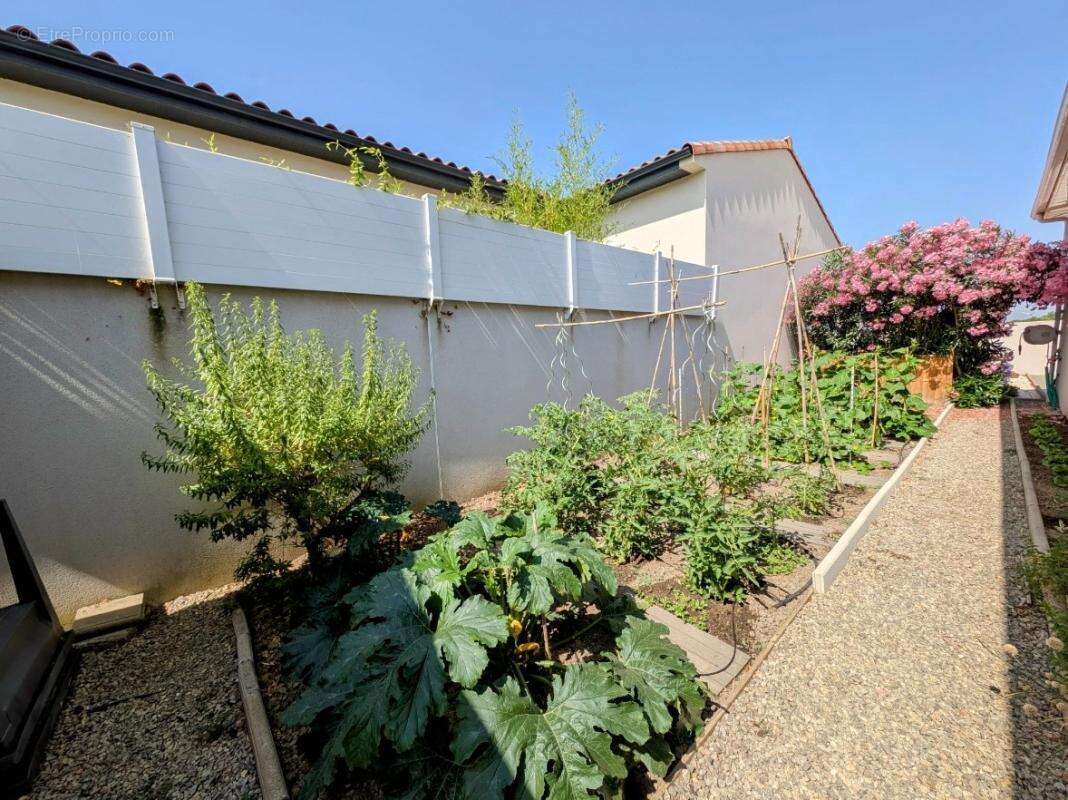 Maison à CANET