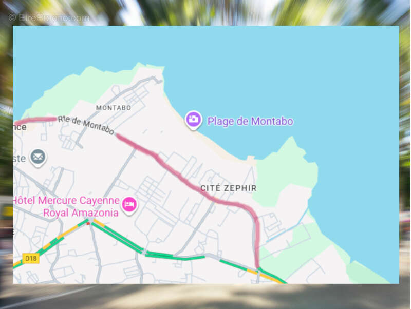 4 - Commerce à CAYENNE