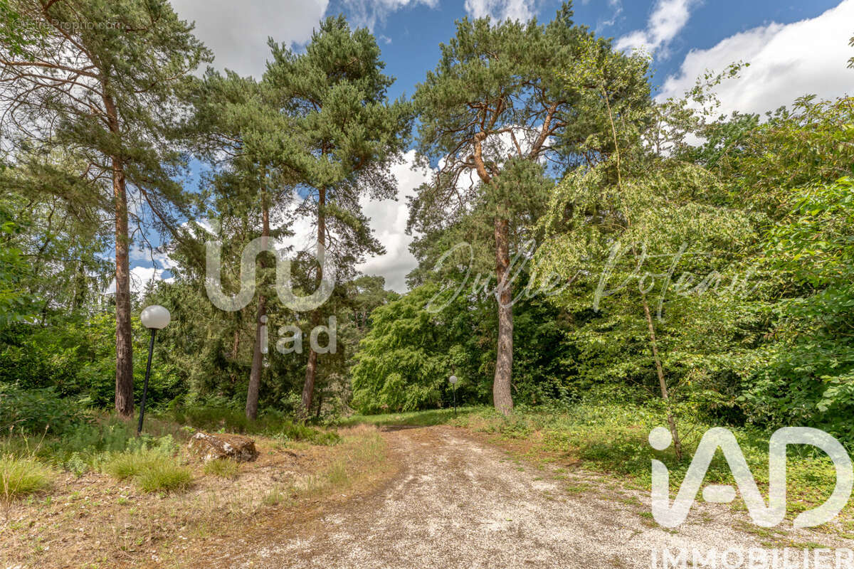 Maison 320 m² à Fere-En-Tardenois  - photo 4