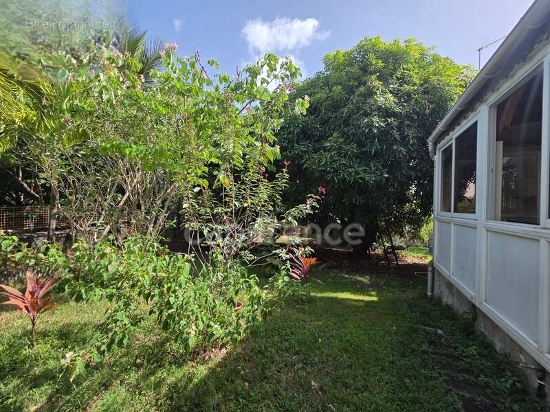 Propriété rare avec maison + 3 logements indépendants – 1850 m² constructible – Basse-Terre centre - photo 23