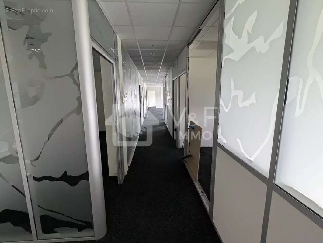 Commerce à COLOMIERS