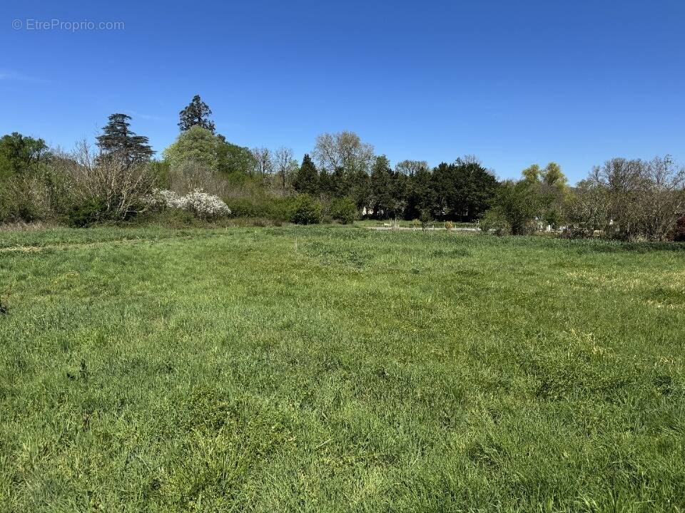 Terrain à VALDURENQUE