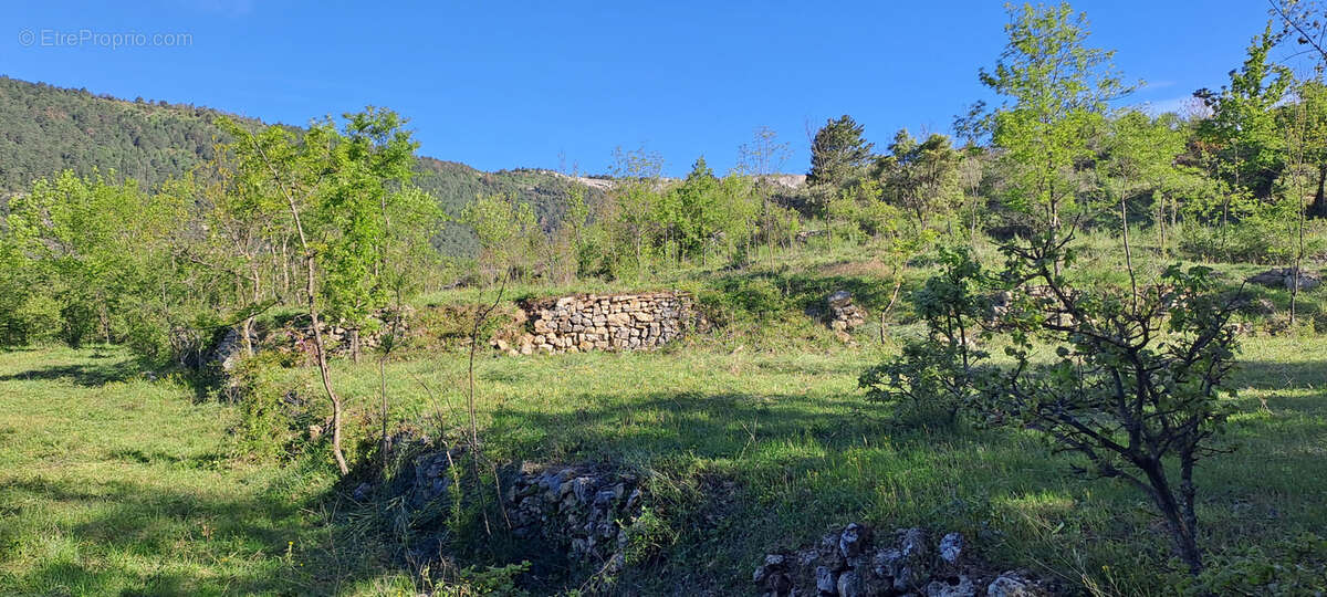 Terrain à SAINT-ETIENNE-DE-GOURGAS