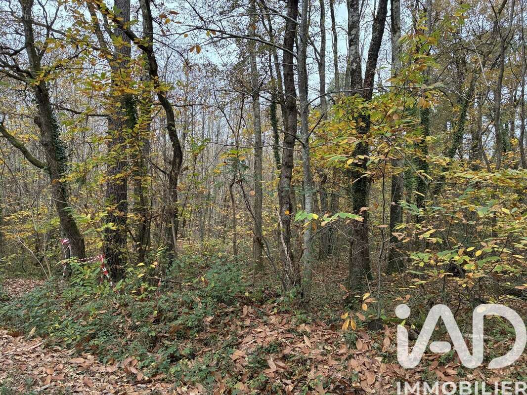 Photo 2 - Terrain à AZAY-LE-FERRON