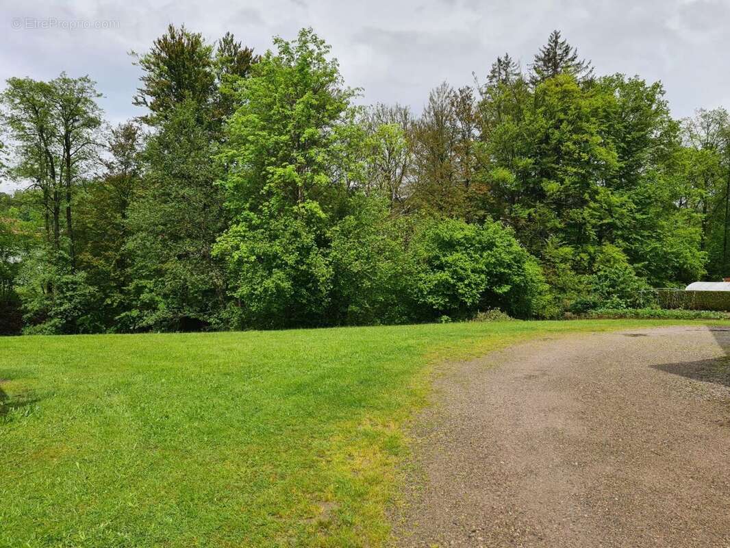 Maison à LE THILLOT