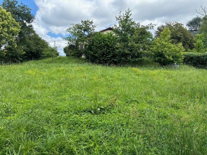 Maison à vendre 4 pièces POYANNE (40) avec jardin et garage - photo 9