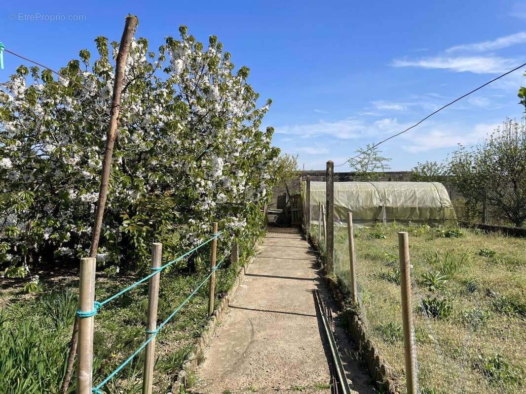 Jardin - Maison à SAINT-COSME-EN-VAIRAIS