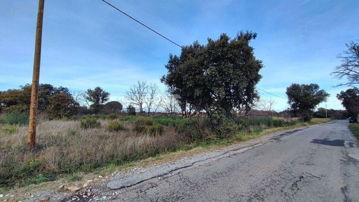 Terrain à SAINT-ANDRE