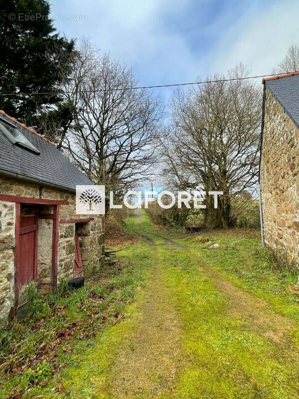 Maison à LE VIEUX-MARCHE