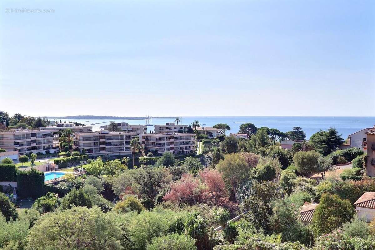 Photo 3 - Appartement à CANNES