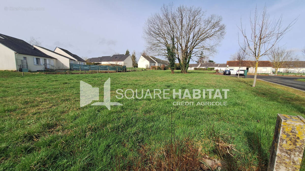 Terrain à RICHELIEU