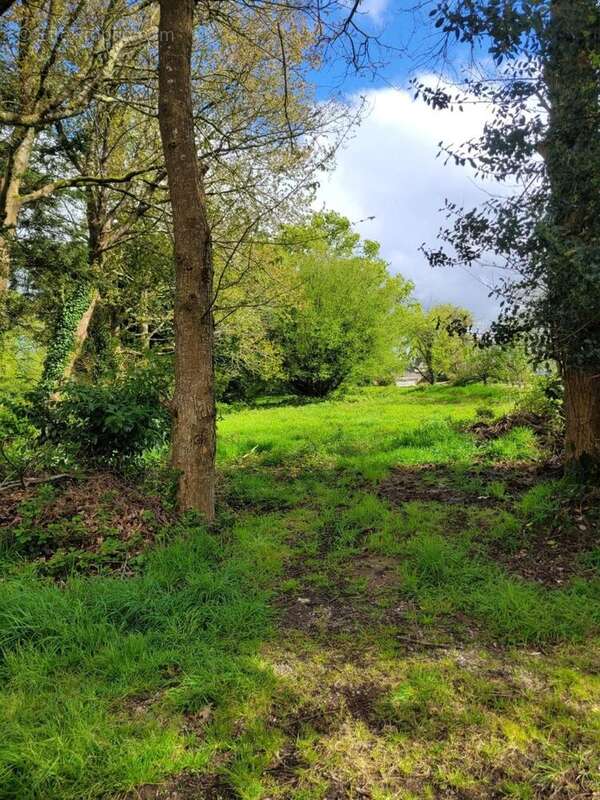 Photo 2 - Terrain à RADENAC