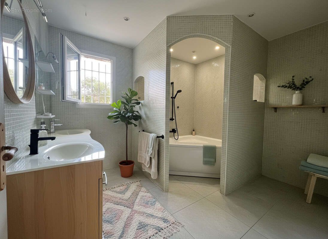 9 - Maison à SAINT-HILAIRE-DE-BRETHMAS