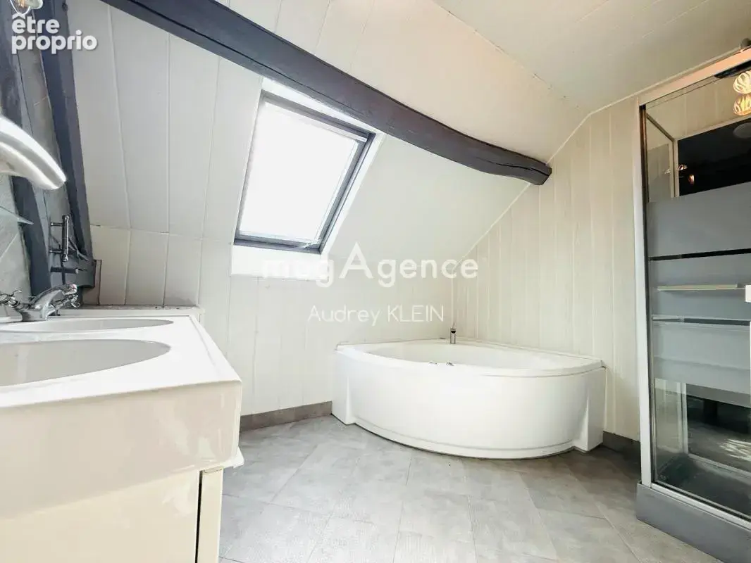 Maison familiale avec maison d’amis, dépendance et jardin plein Sud à Thorigny-sur-Oreuse - photo 11