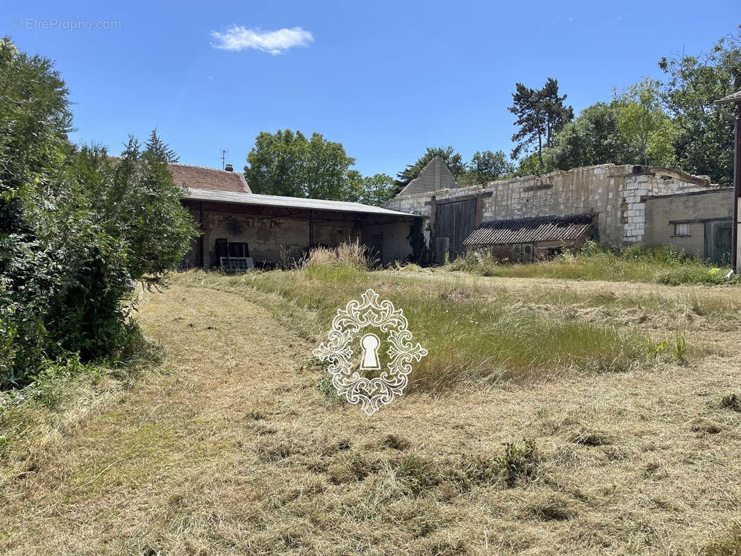 Région Sergines - photo 14