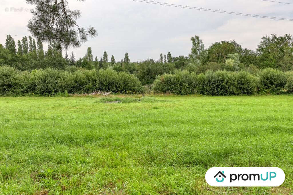 Terrain à SAINT-MARS-LA-BRIERE