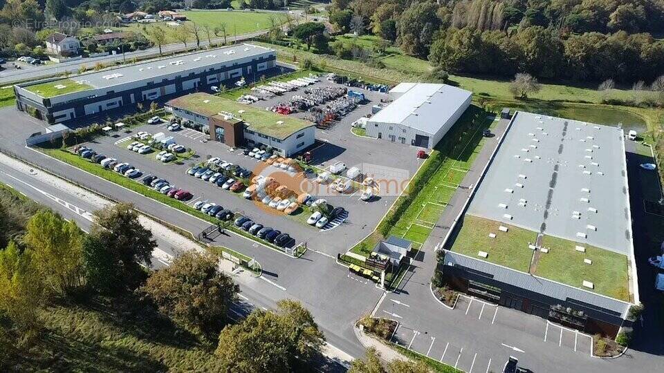 Commerce à SALLEBOEUF