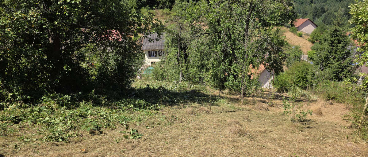 Rothau, grande maison individuelle avec logement indépendant, 12.76 ares. - photo 21