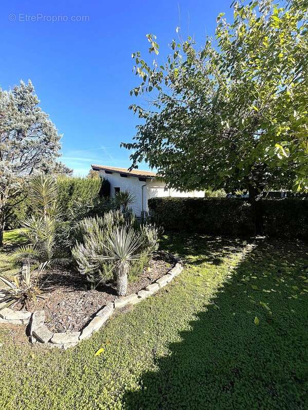 Maison à AMBARES-ET-LAGRAVE