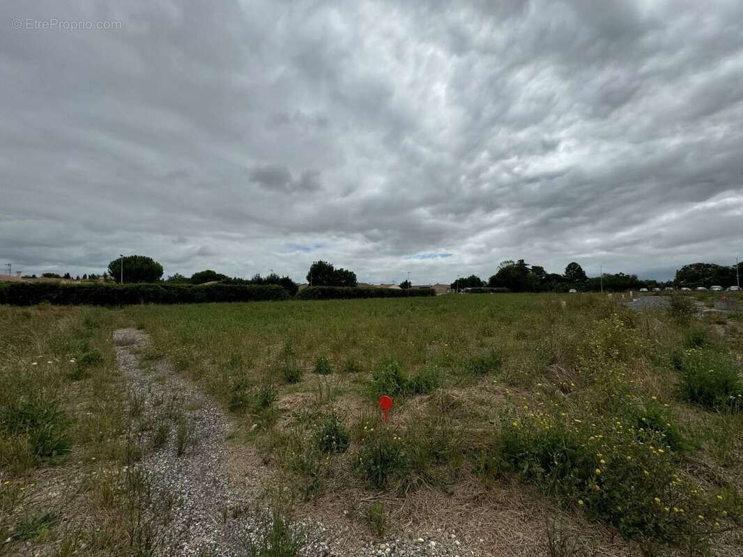 Terrain à SURGERES