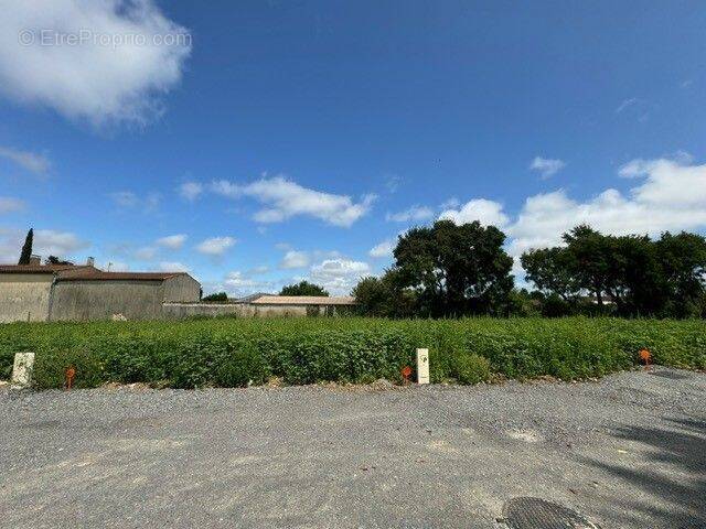 Terrain à SAINT-MEDARD-D&#039;AUNIS