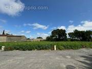 Terrain à SAINT-MEDARD-D&#039;AUNIS