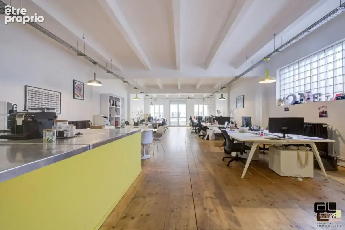 LOFT INDUSTRIEL 255 M² QUAI ARLOING  avec terrasse   et parking ( bureau ou habitation ) - photo 11