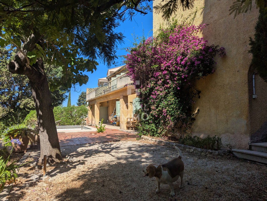 Maison à TOULON