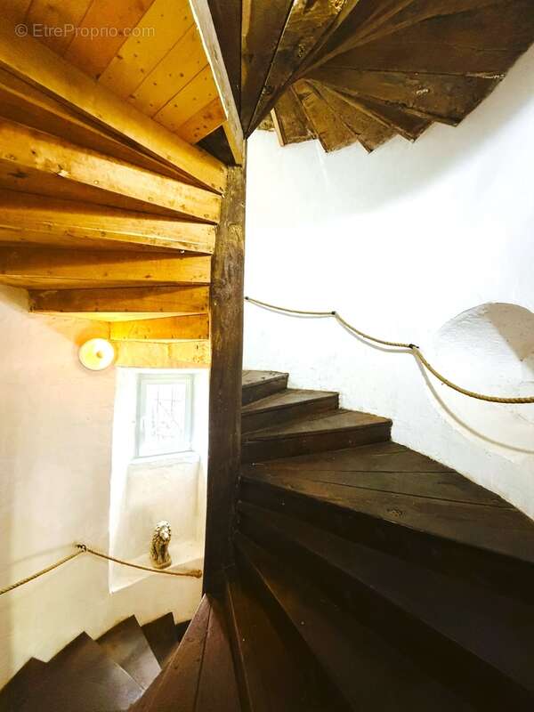 Propriete à vendre 8 pièces MONTEGUT (65) - photo 6