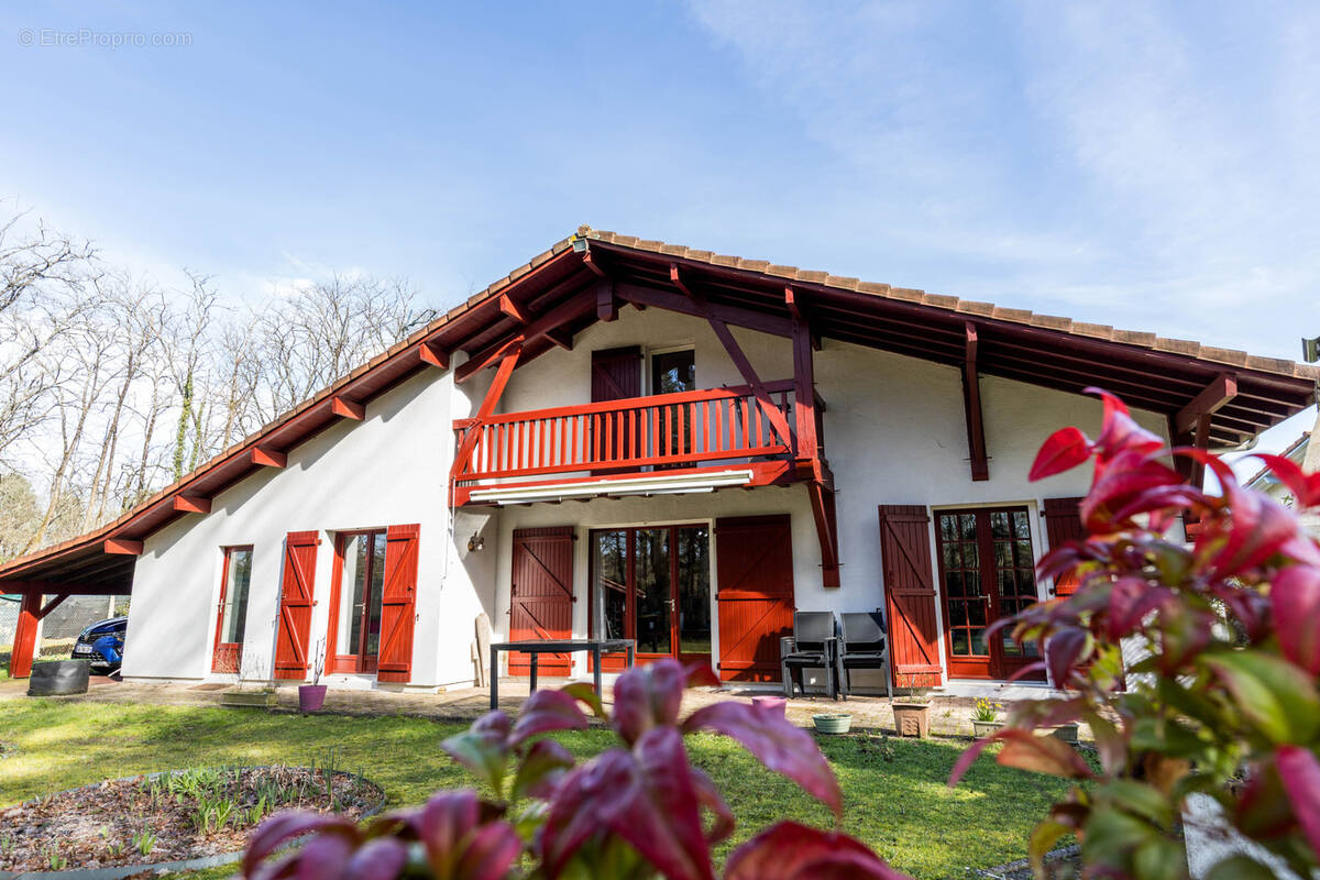 Maison à SAINT-PIERRE-DU-MONT