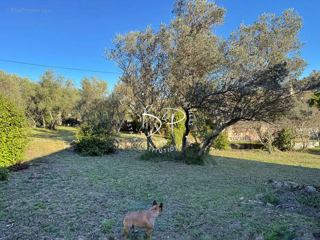 Terrain à LORGUES