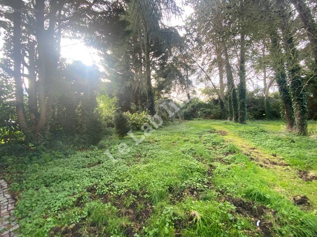 Terrain à GAINNEVILLE