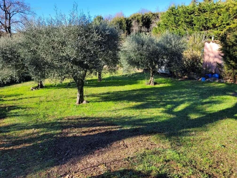 Maison à PEYMEINADE