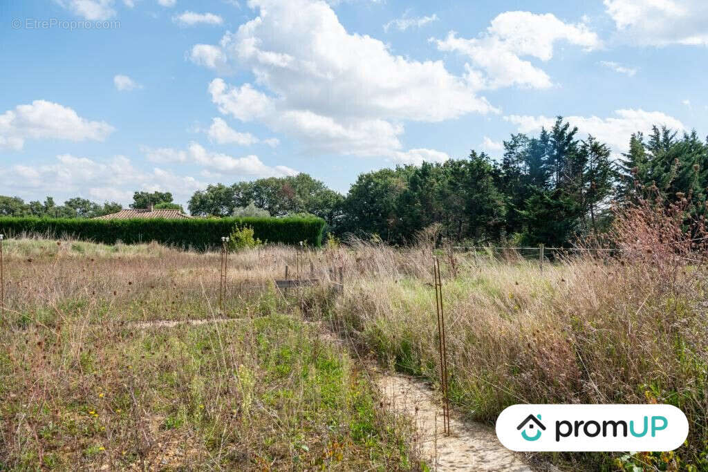 Terrain à MAUVEZIN