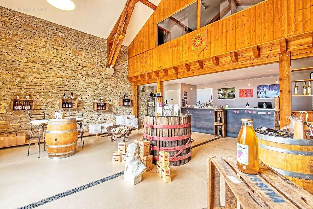 Domaine avec maison,  gîtes, auberge, parc - photo 5